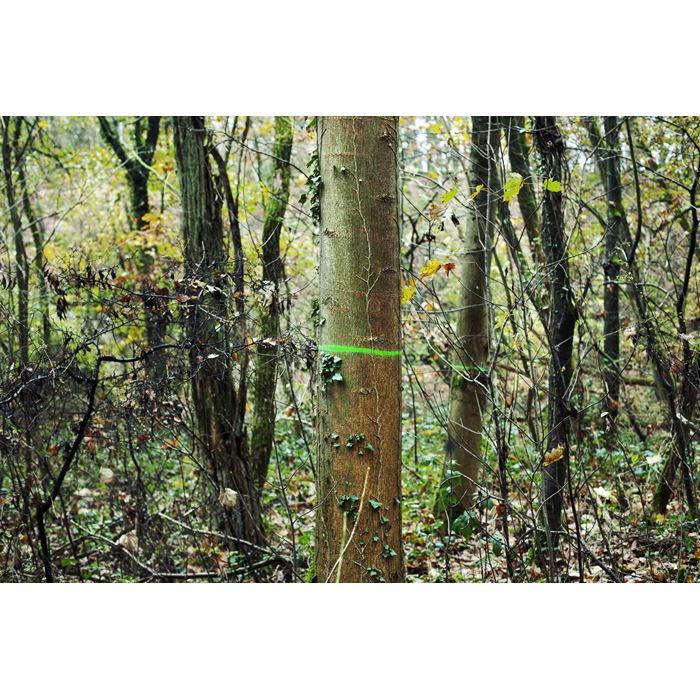 Aigrefoin foret arbres peinture vert ete	© Rémy Artiges - Photographie