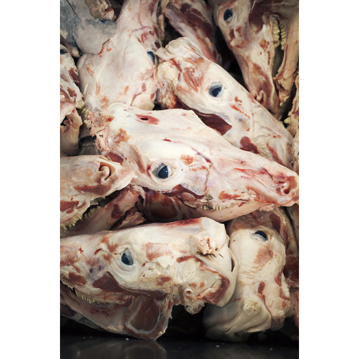 rungis viande tete de veau accumulation	© Rémy Artiges - Photographie
  