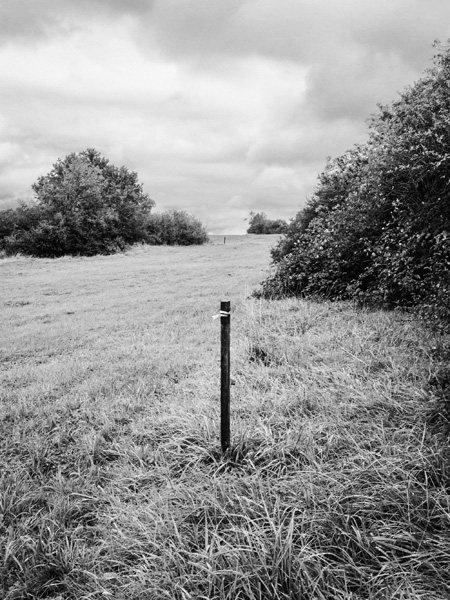 TGV Est trace piquet prairie buisson © Rémy Artiges - Photographie