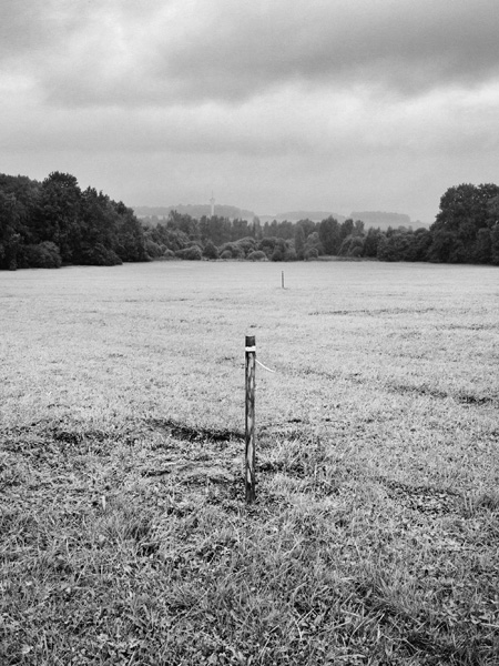 TGV Est trace piquet prairie herbe © Rémy Artiges - Photographie